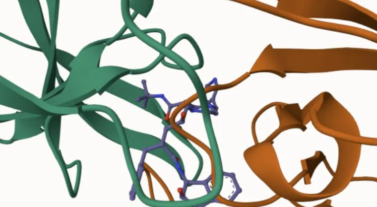 3D protein structure preview